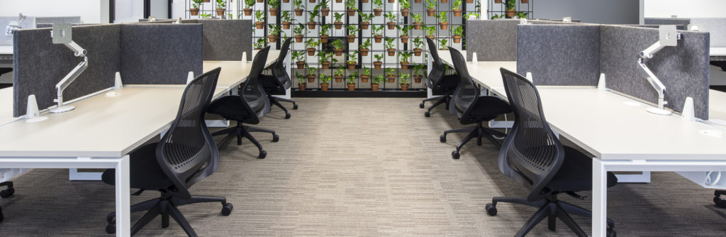Sydney Office Fitout