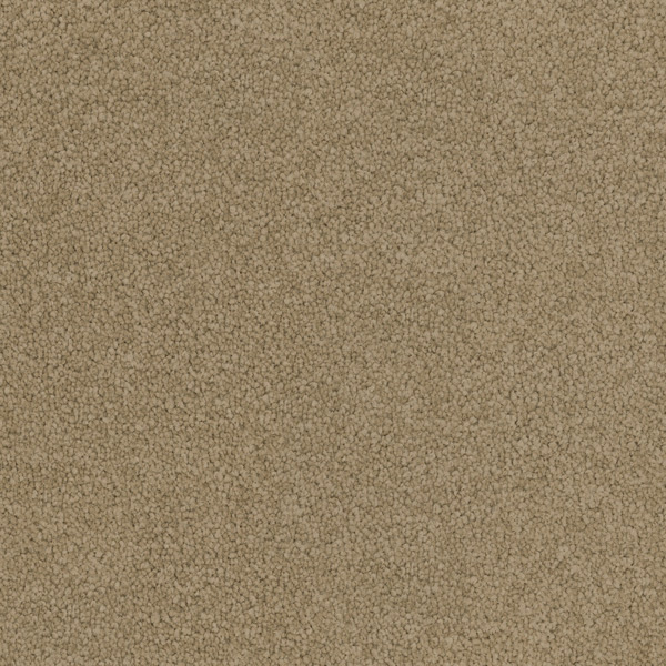 Godfrey Hirst Beige Carpet