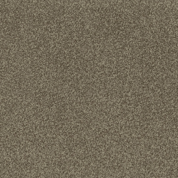 Godfrey Hirst Beige Carpet