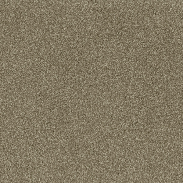 Godfrey Hirst Beige Carpet