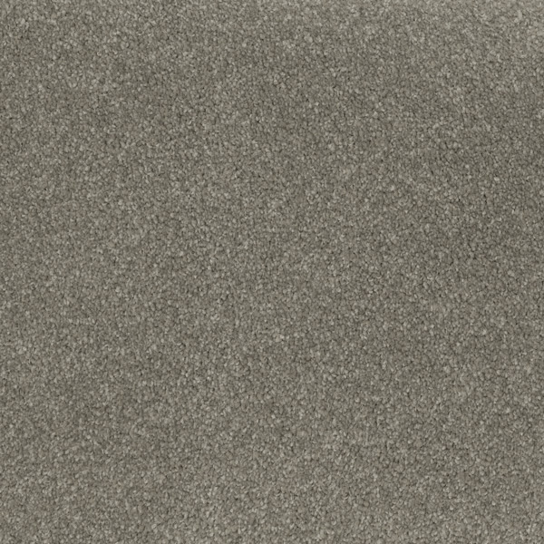 Godfrey Hirst Grey Carpet