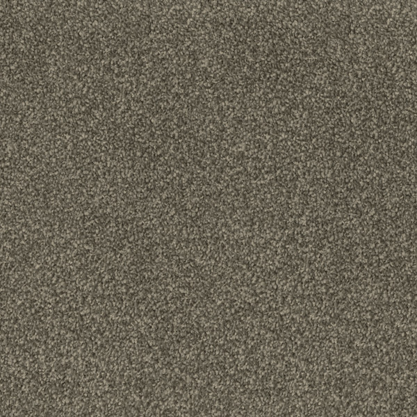 Godfrey Hirst Brown Carpet