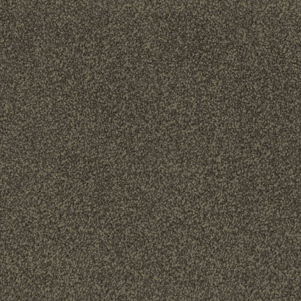 Godfrey Hirst Brown Carpet