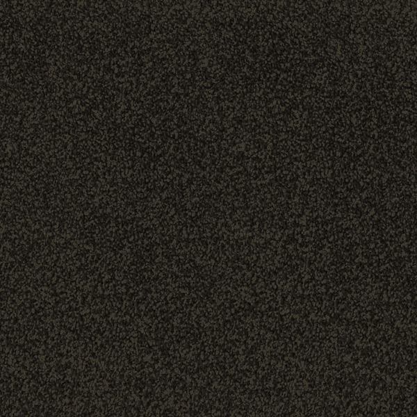 Godfrey Hirst Black Carpet