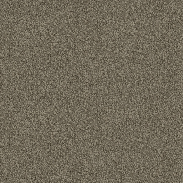 Godfrey Hirst Brown Carpet