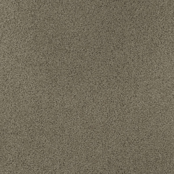 Godfrey Hirst Beige Carpet