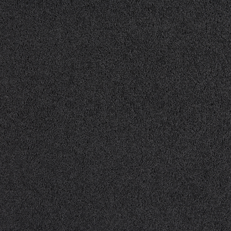 Godfrey Hirst Black Carpet