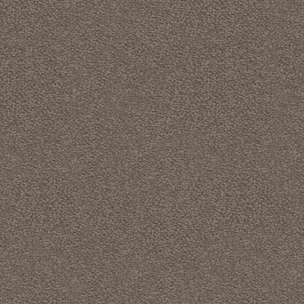 Godfrey Hirst Beige Carpet