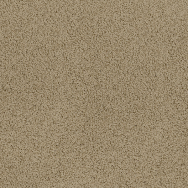 Godfrey Hirst Brown Carpet