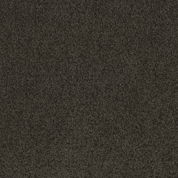 Godfrey Hirst Brown Carpet