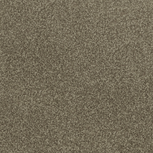 Godfrey Hirst Brown Carpet