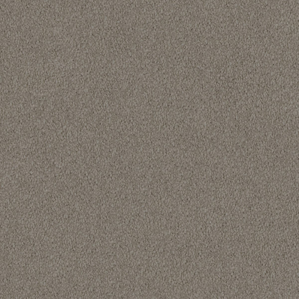 Godfrey Hirst Beige Carpet