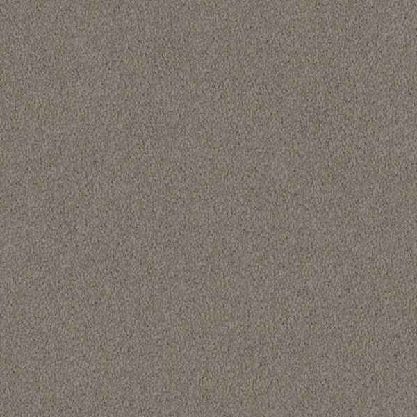 Godfrey Hirst Beige Carpet