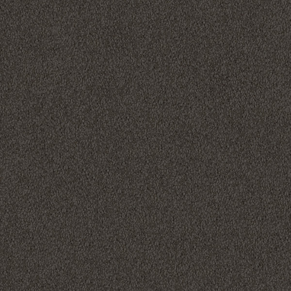 Godfrey Hirst Brown Carpet