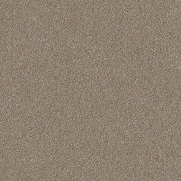 Godfrey Hirst Beige Carpet