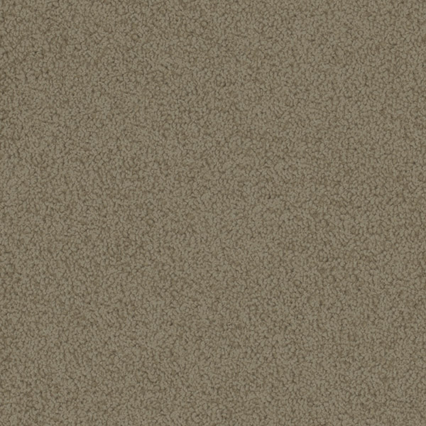 Godfrey Hirst Beige Carpet