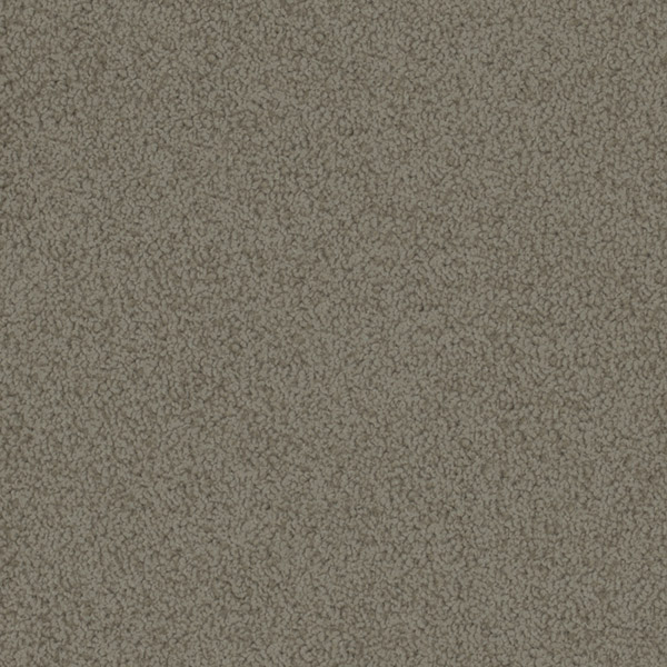 Godfrey Hirst Beige Carpet