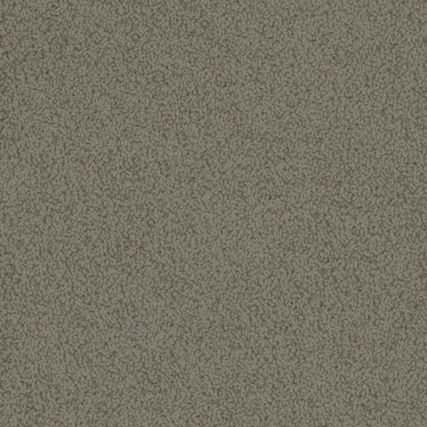 Godfrey Hirst Beige Carpet