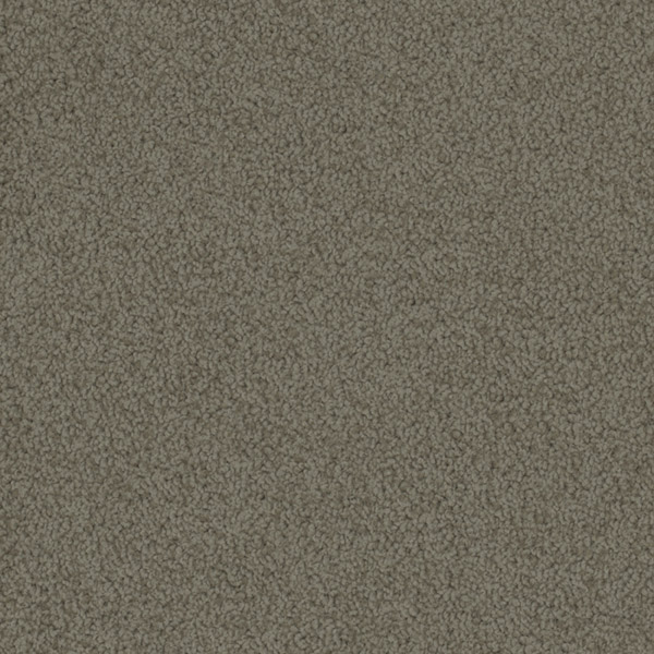 Godfrey Hirst Brown Carpet