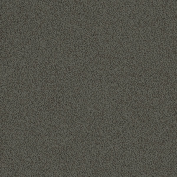 Godfrey Hirst Brown Carpet