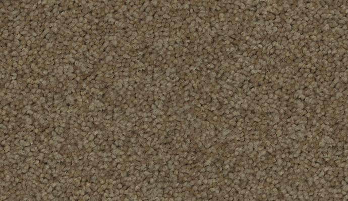 Godfrey Hirst Eco Inspirational Brown Carpet