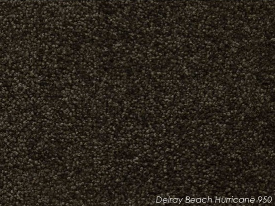 Tuftmaster Delray Beach Hurricane Carpet