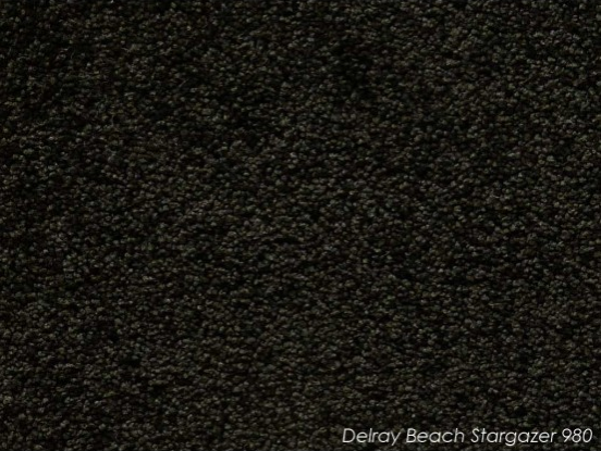 Tuftmaster Delray Stargazer Carpet