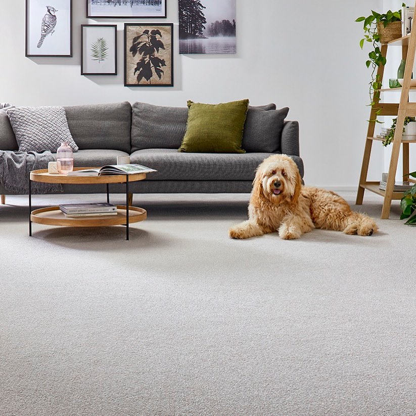 Feltex Carpets Sutherland Shire